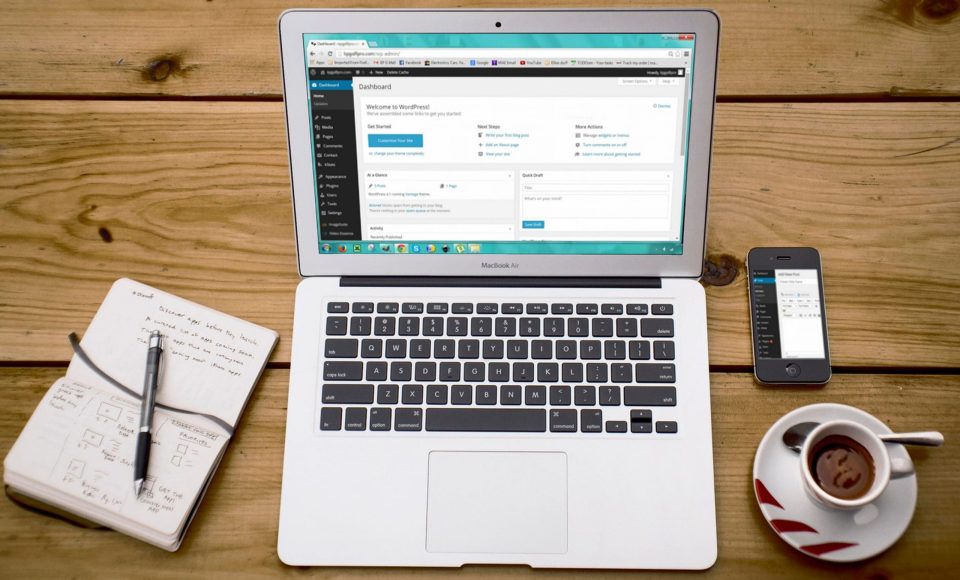 wordpress user